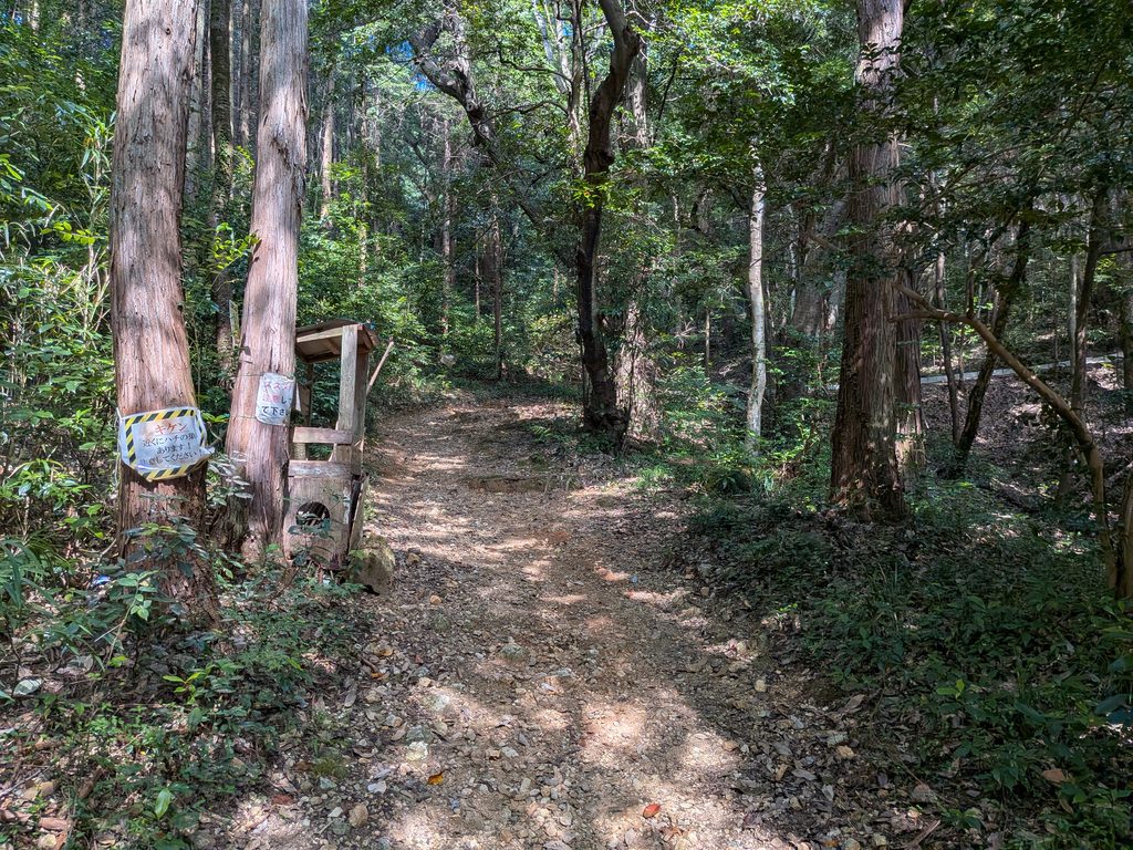 登山口すぐの坂道